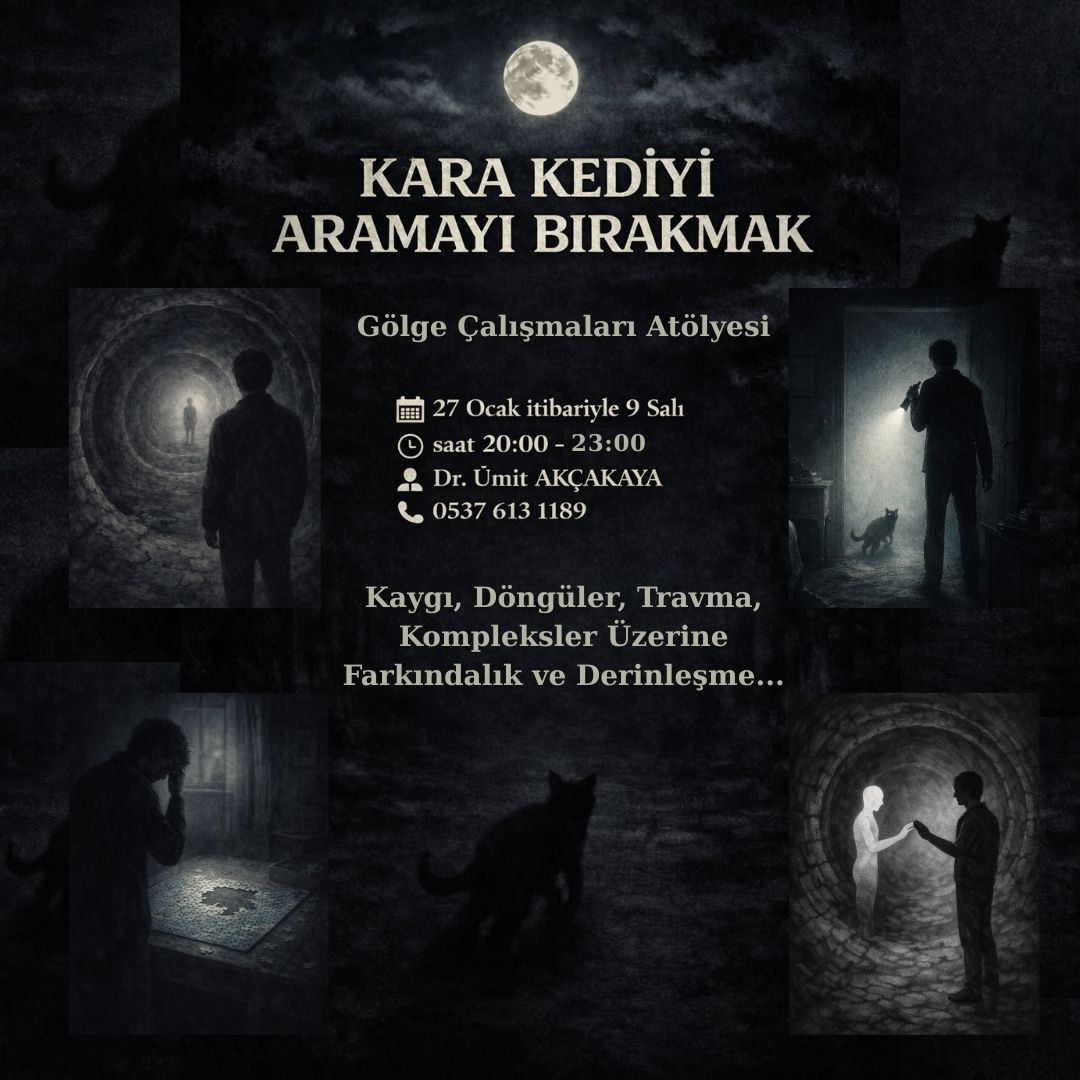 KARA KEDİYİ ARAMAYI BIRAKMAK (ONLİNE ATÖLYE & GÖLGE ÇALIŞMASI)