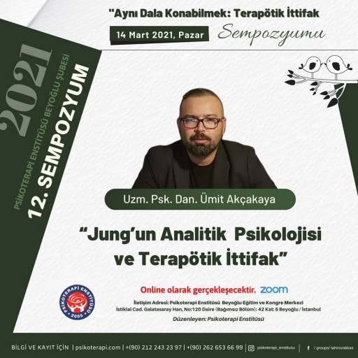 Jung'un Analitik Psikolojisi ve Terapötik İttifak